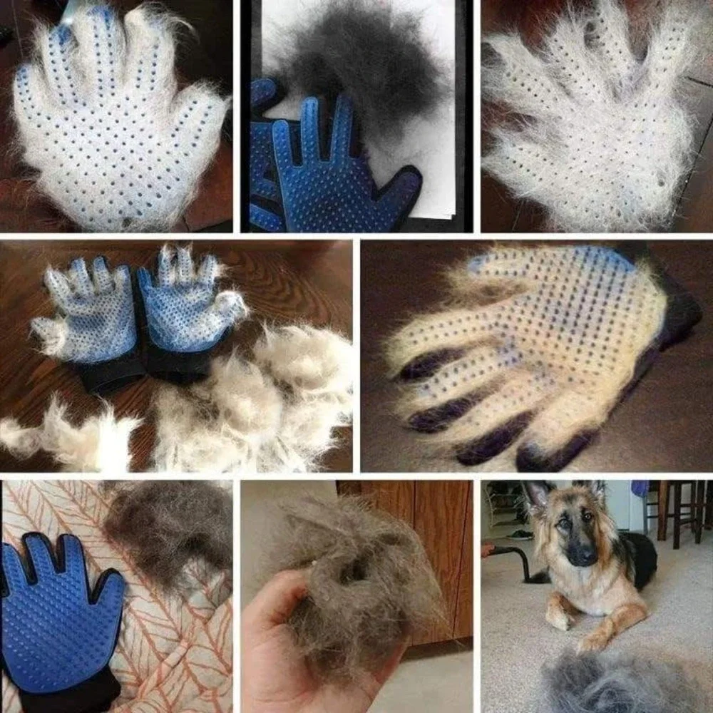 The Unbranded Brand pet grooming